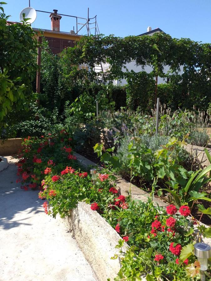 Apartments Jelicic Biograd Na Moru Eksteriør billede
