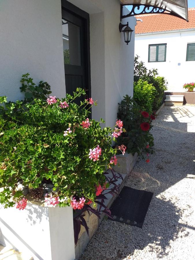 Apartments Jelicic Biograd Na Moru Eksteriør billede