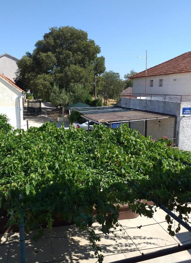 Apartments Jelicic Biograd Na Moru Eksteriør billede