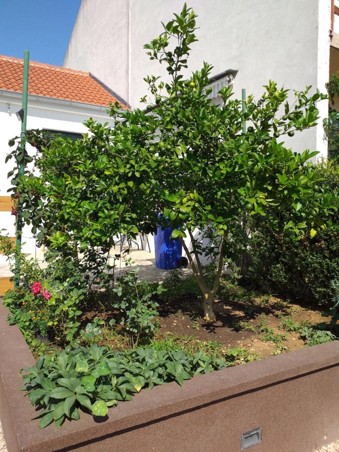 Apartments Jelicic Biograd Na Moru Eksteriør billede