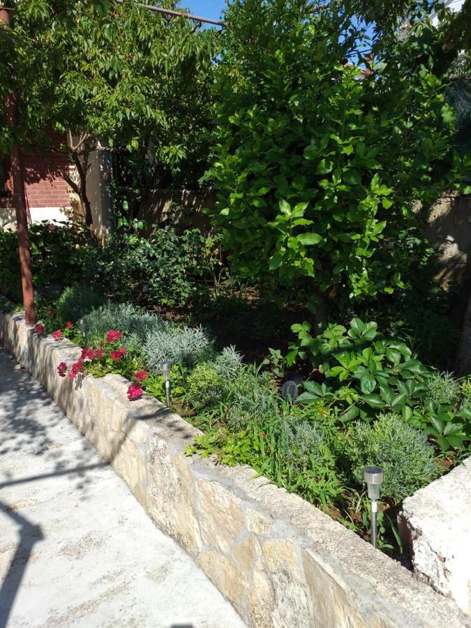 Apartments Jelicic Biograd Na Moru Eksteriør billede