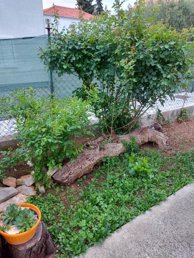 Apartments Jelicic Biograd Na Moru Eksteriør billede