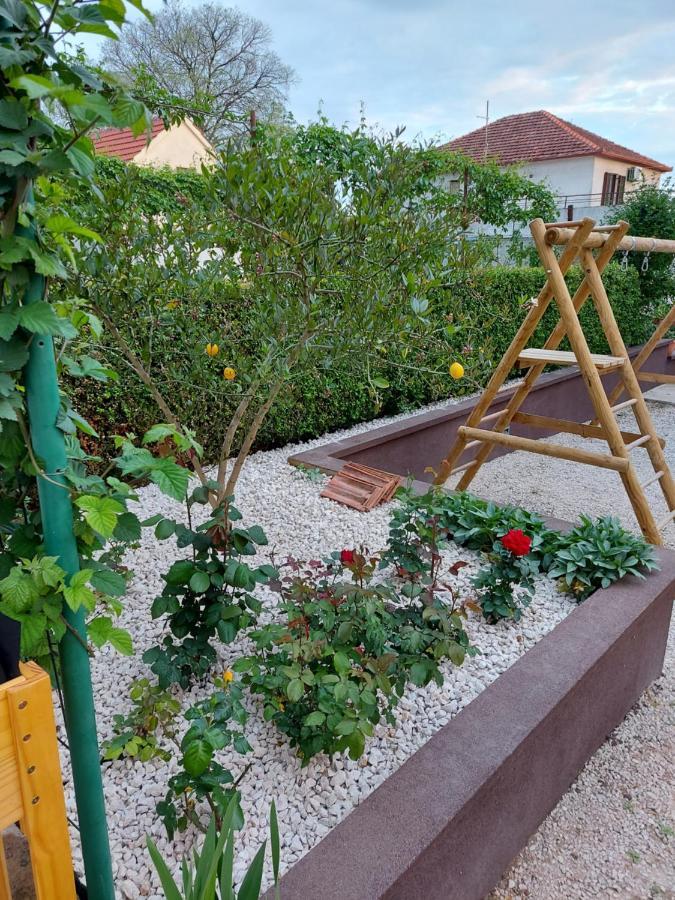 Apartments Jelicic Biograd Na Moru Eksteriør billede