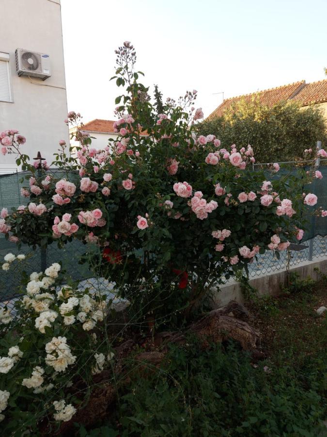 Apartments Jelicic Biograd Na Moru Eksteriør billede