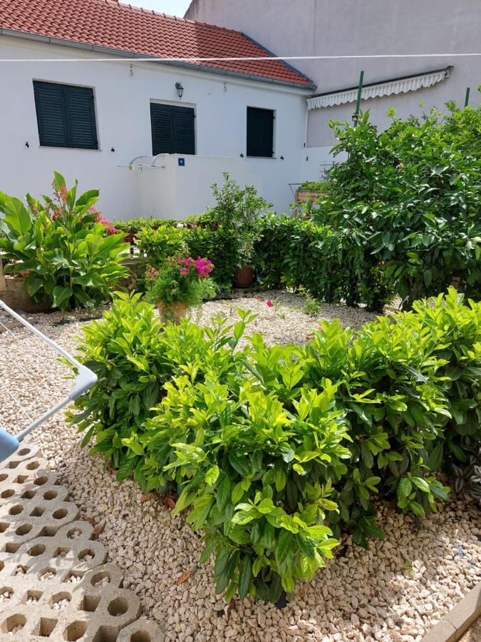 Apartments Jelicic Biograd Na Moru Eksteriør billede